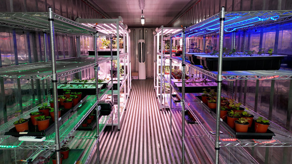 Caption: Interior of A-Bio Materials' smart farm, showcasing the growth environment for plants before the extraction and purification of plant exosomes.